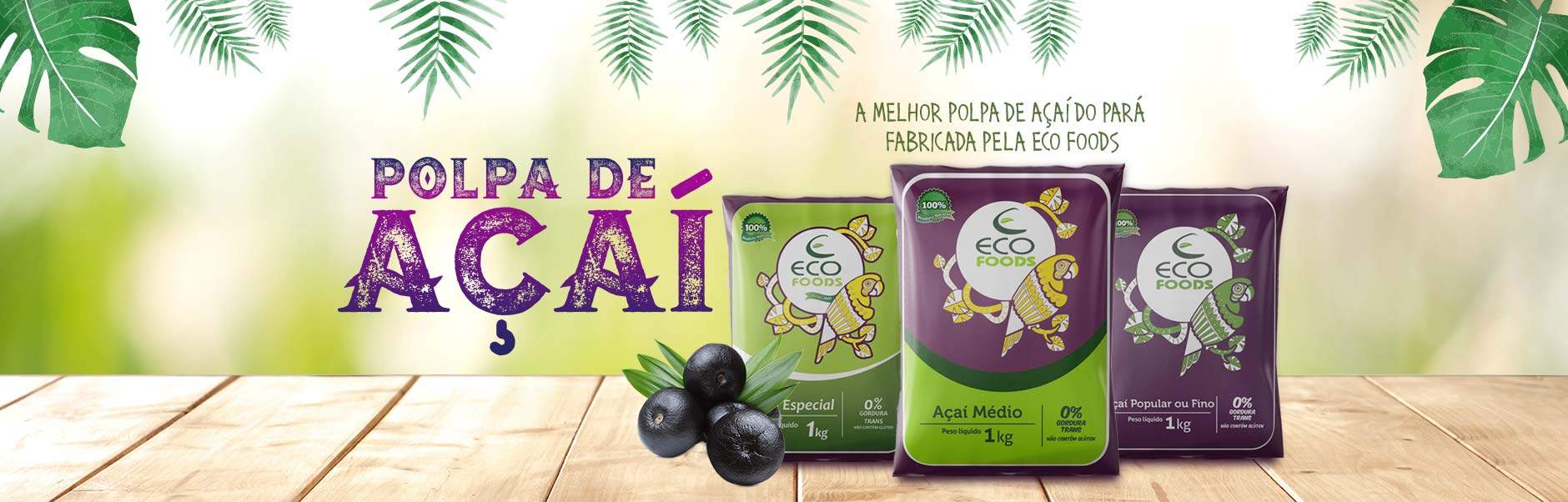 Distribuidora e Fábrica de Açaí