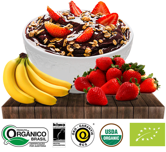 Distribuidora e Fábrica de Açaí